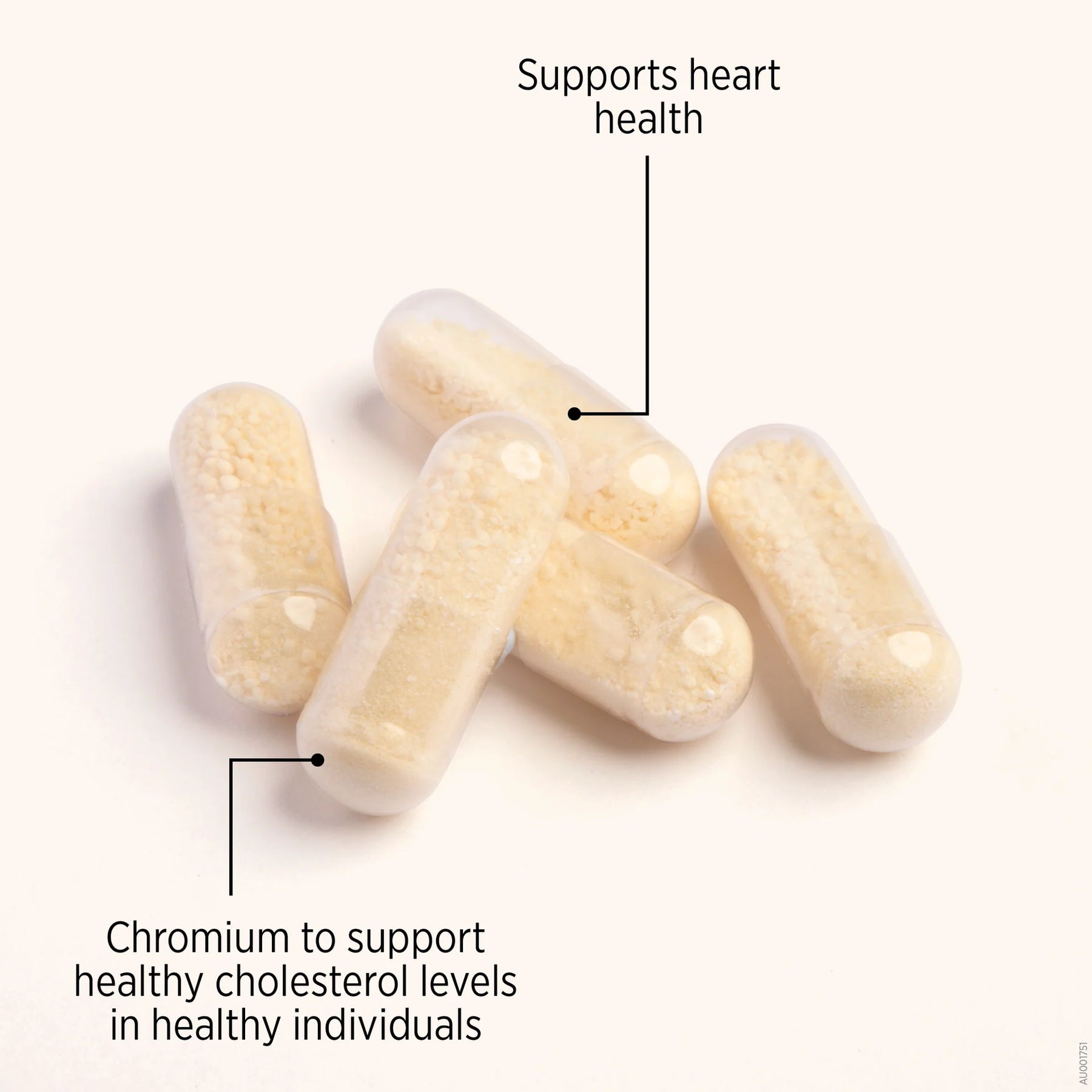 Kyolic Aged Garlic Extract Heart & Cholesterol Formula