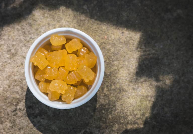 Buderim BioActive Ginger+ Gummie Bears